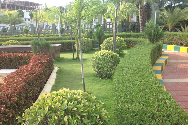 chennai swimming pool designers, chennai swimming pool maintenance, chennai gardening, chennai landscape architects, landscape in chennai,